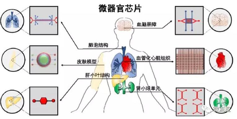 QQ截图20211224095316.jpg